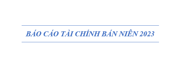 Báo cáo tài chính bán niên 2023