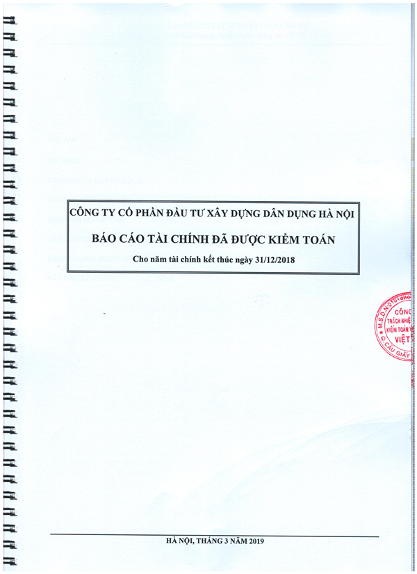 Báo cáo tài chính đã được kiểm toán năm 2018