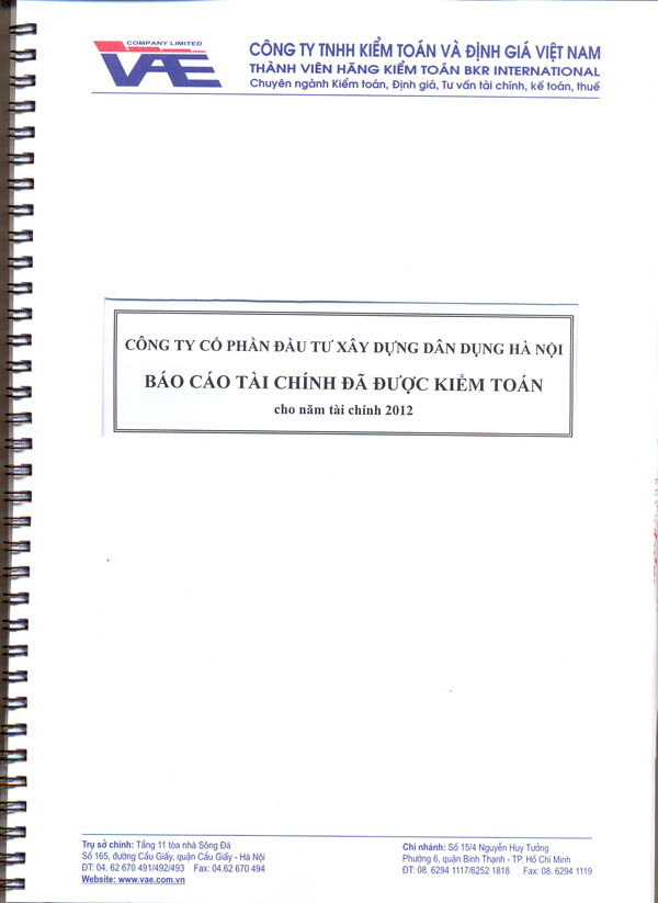 Báo cáo tài chính đã được kiểm toán năm 2012