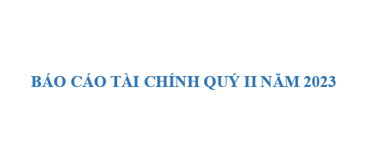 Báo cáo tài chính quý II năm 2023